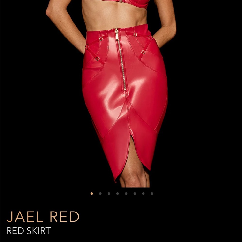 NWT HONEY BIRDETTE “JAEL”  RED VEGAN LEATHER SKIRT